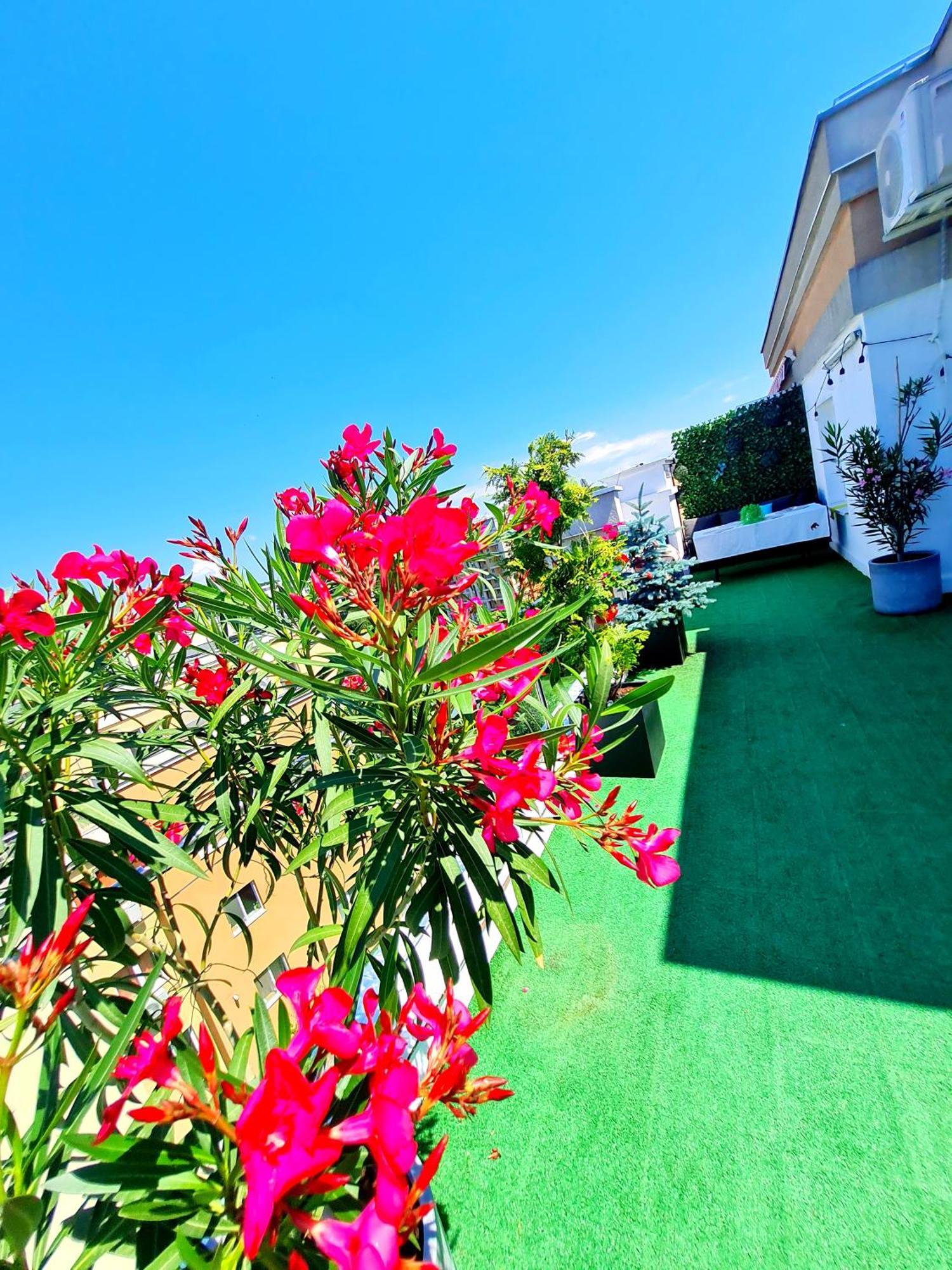 Penthouse View Aeroport Iasi Apartment Exterior photo